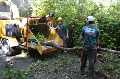 tree services Aberdeen